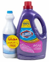 Clorox_clothes_floral_scented_liquid_colored_clothes_color_booster_100_percent_stain_removal_plus_free_original_liquid_bleach_950ml_3l