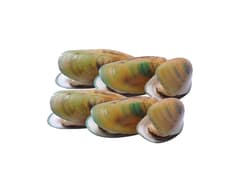 Danube_green_lipped_mussels_frozen_open_1kg