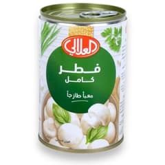 فطر كامل