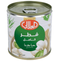 فطر كامل