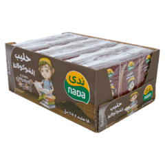 Nada Junior Chocolate Milk 18x125g