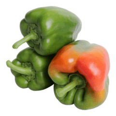 Green Capsicum