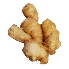Ginger