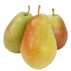 African Pears (Pack)