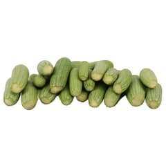 Al_qasim_produce_zucchini_1tray