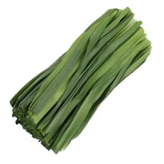 Garlic Green Leaves