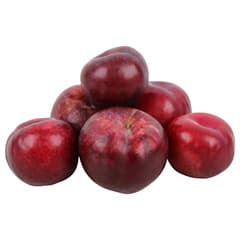 Red Plums (Pack)