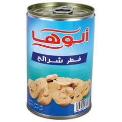 فطر شرائح