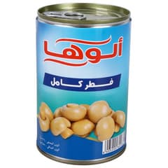 فطر كامل