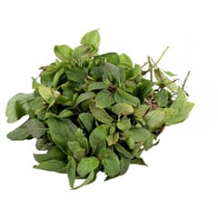 Al Madinah Green Tea