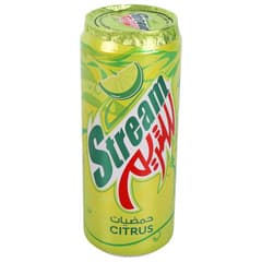 Stream Citrus Soft Drink 330ml