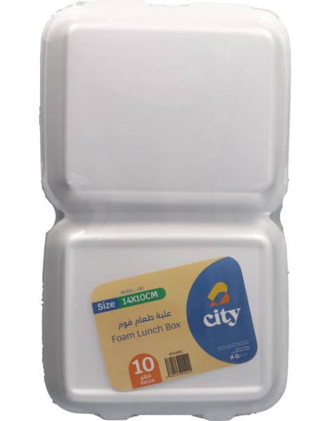 City Foam Lunch Box