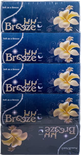 Breeze Tissue 2Ply 5X200's