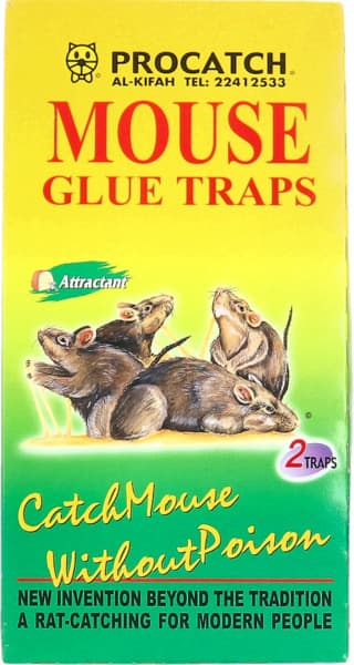 Al Kifah Rat Trap Super Sticky Board Big 2's