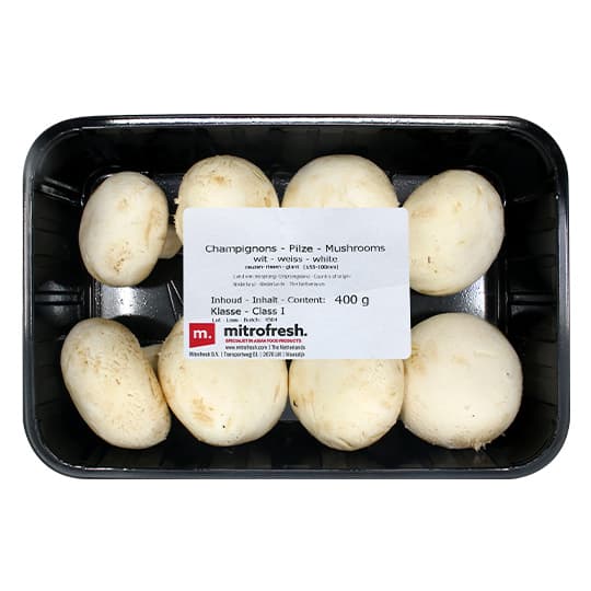 Holland Giant Mushroom 400G