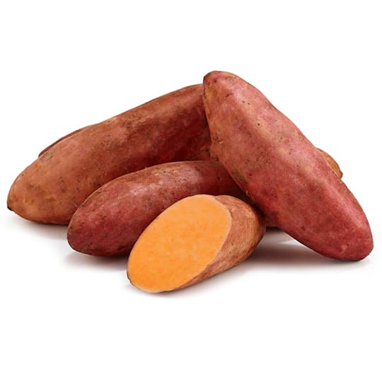 Sweet Potato Egypt