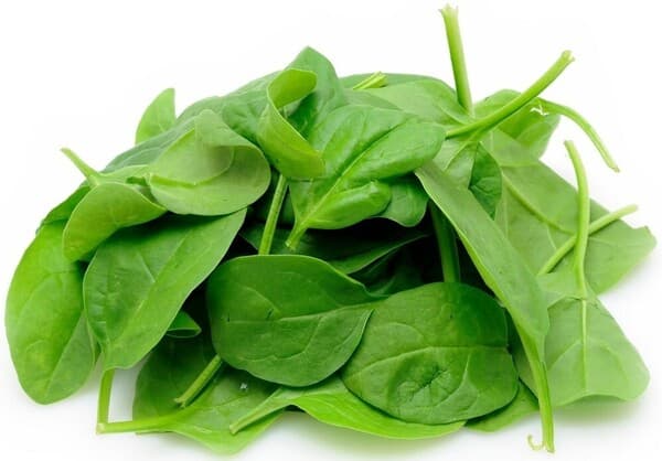 Spinach Kuwait