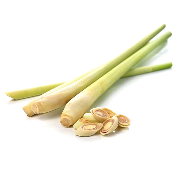 Thailand Lemon Grass Packet