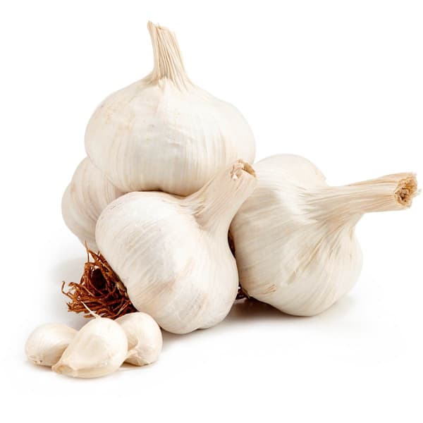 Garlic China