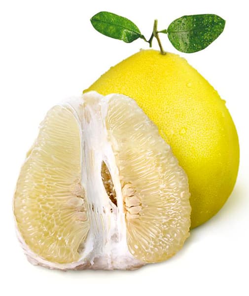 Pomelo China