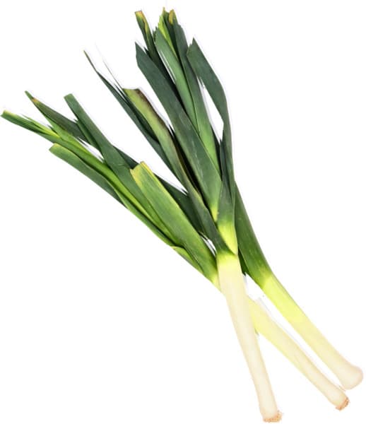 Leek Holland