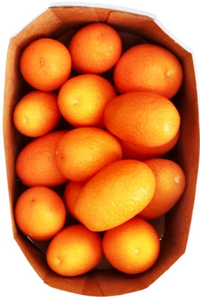 Kumquat