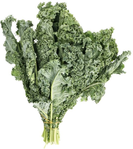 Fresh Kale Leaves Bunch