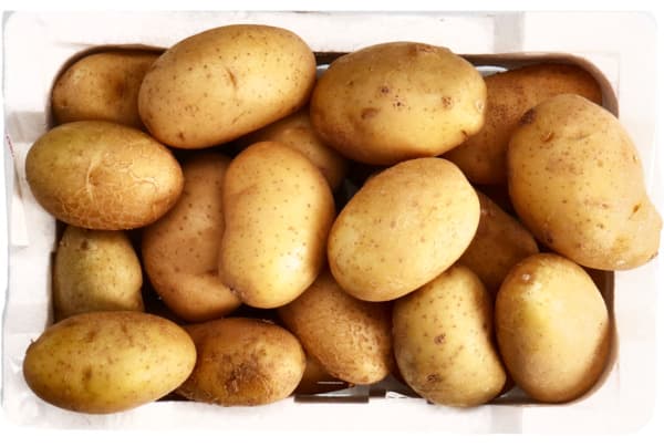 بطاطس صغيرة علبة فلين