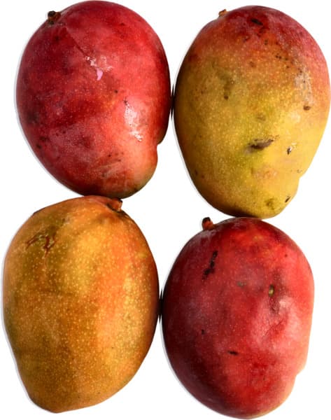 Yemeni Kalbathor Mango Per Kilo