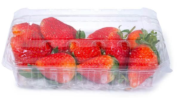 Egyptian Strawberries Plastic Box