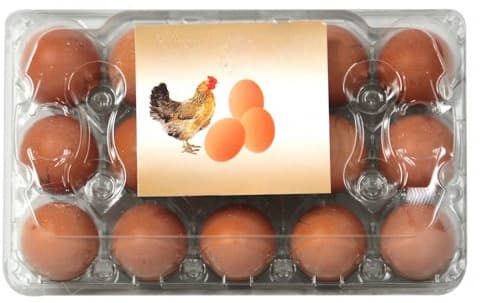 Jordanian Brown Eggs 15's