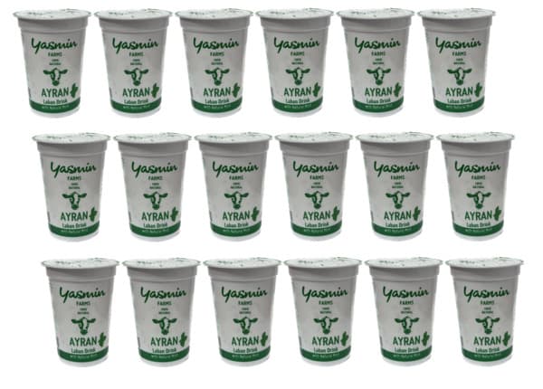 Yasmin Farms Aryan Laban Drink With Natural Mint