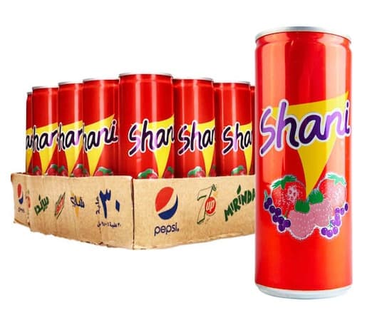 Shani Fruit Drink 30X250Ml