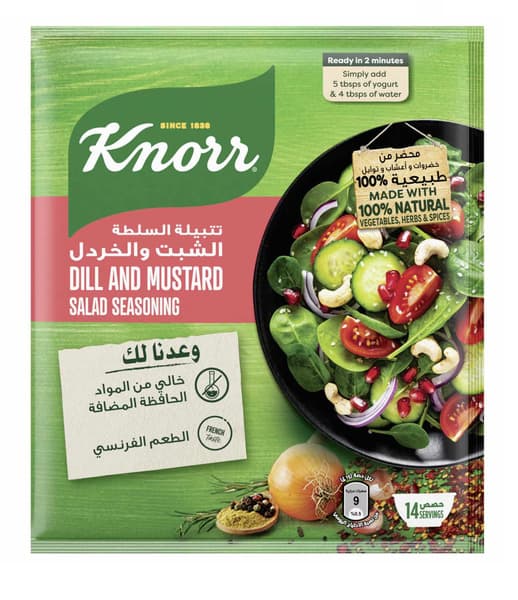 Knorr Dill & Mustard Salad Seasoning 10G
