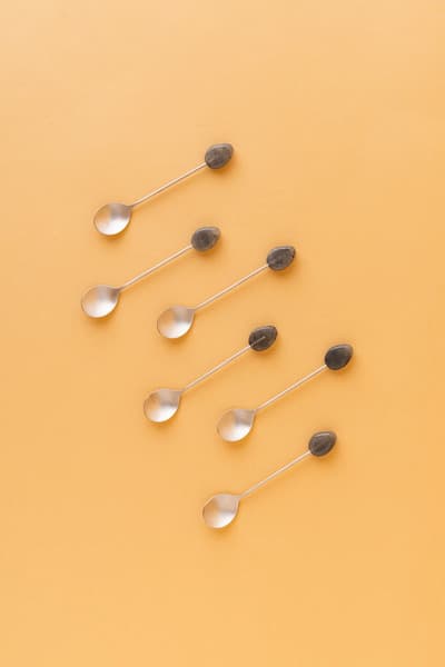 Waba Silver Grey Handle Teaspoon Set 6Pcs