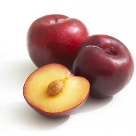PLUM RED 1 KG