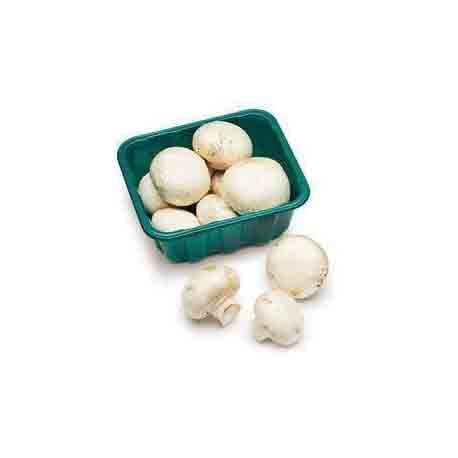 MUSHROOMS BOX