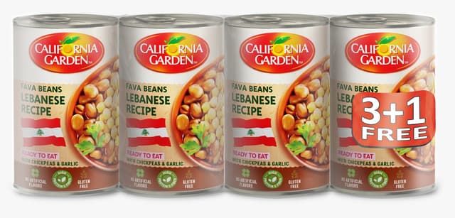 CG FAVA BEANS LEBANESE RECIPE 3+1X450GM