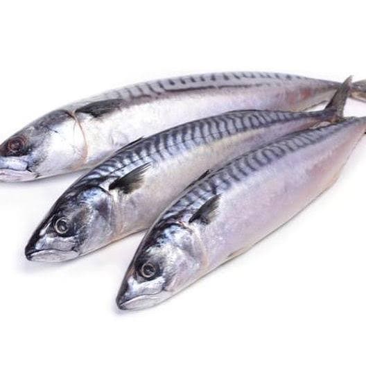 FISH MACKERAL 1KG