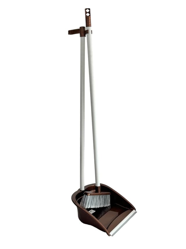 Cleaning Dustpan With Broom