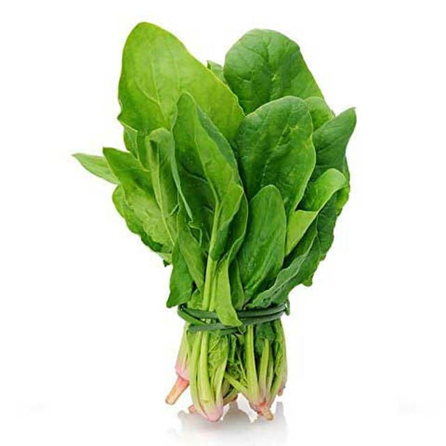 SILK LEAVES VEGETABLE
