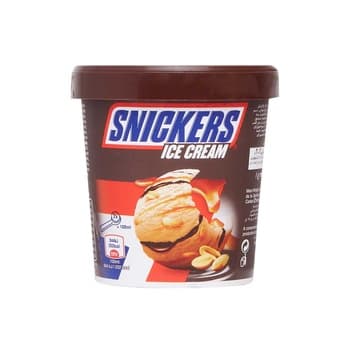 Snickers Ice Cream 450ml