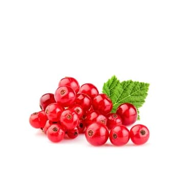 Red Currant Holland ≈ 125g