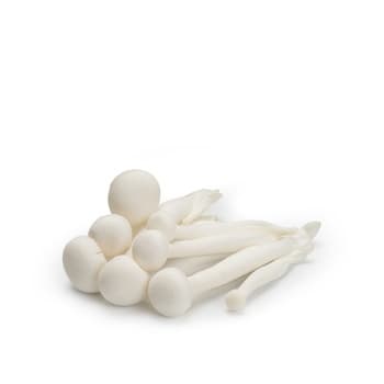 Mushroom Enoki Thailand
