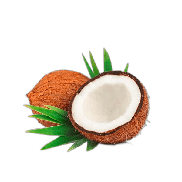Coconut Whole India