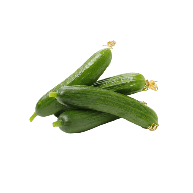 Cucumber Kuwait