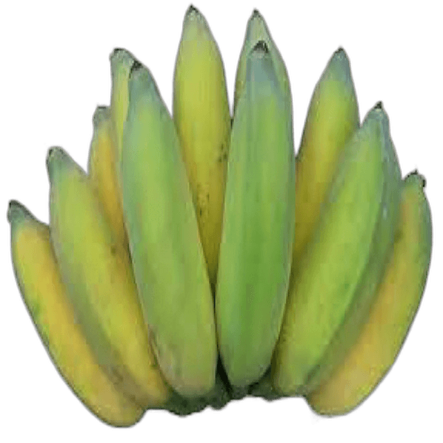 Kuwait Mondan Banana per kg