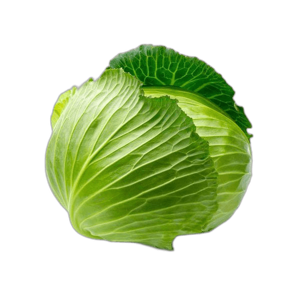 Cabbage per kg