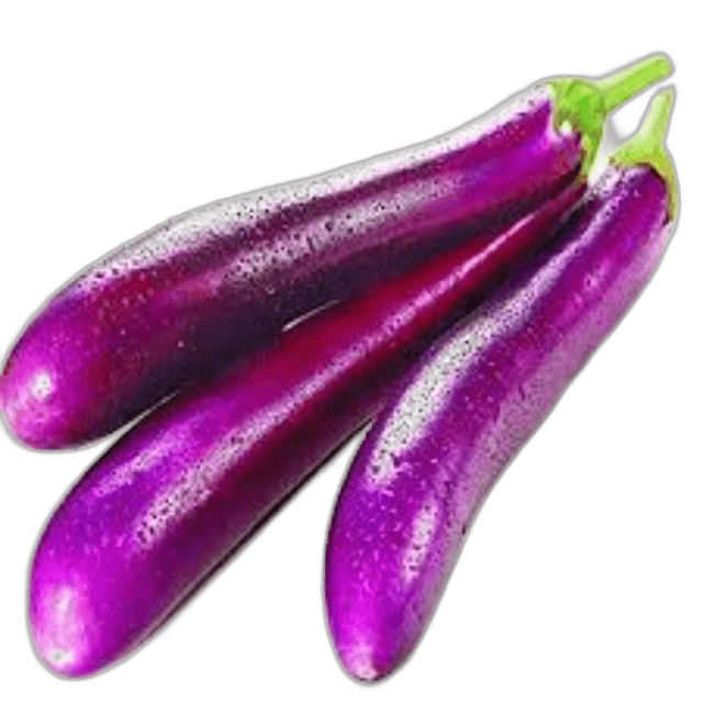 Eggplant Long Violet