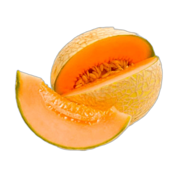 Shamam Cuntalope